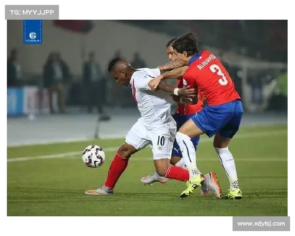 法尔范在沙尔克04的场上角色与定位分析